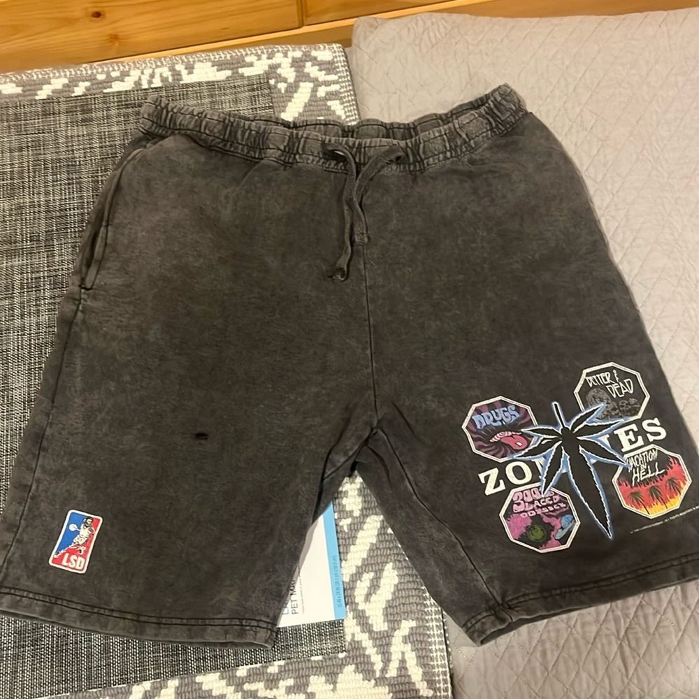 FlatBush Zombies Shorts